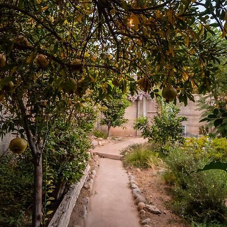 فيلا Casa Doris Vicuña المظهر الخارجي الصورة